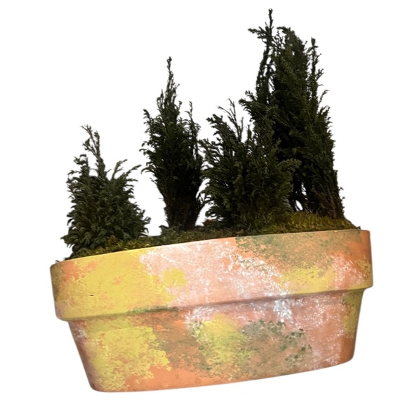 FOREVER GREEN ART Potted Quartet Mini Cypress Tree In‎ Oval Terra Cotta Planter - Picture 4 of 12